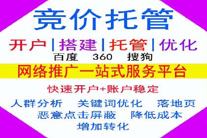 揭秘百度竞价广告：实战案例分析及优化策略